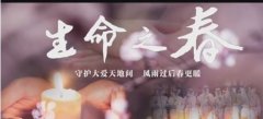 这个冬天