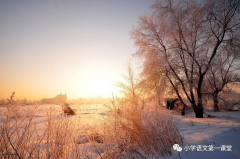写景的作文400字:冬晨即景