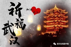给武汉的一封信:山川异域,风月同天