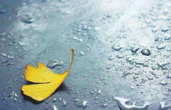 四年级作文:阳台上观风雨